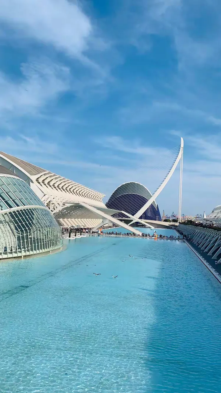 清晨葡萄牙体育状态回暖瓦伦西亚造点机会，浙江稠州赛前战术微调看傻球迷